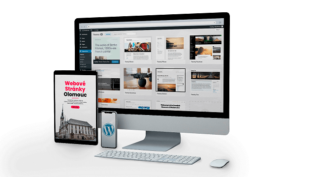 tvorba wordpress webu olomouc